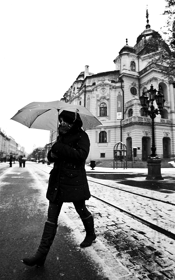 _MG_3926bwzm
