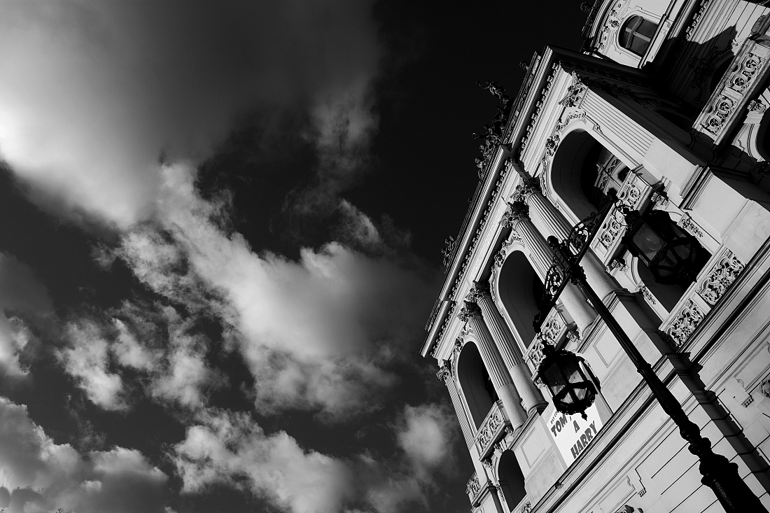 _MG_0914bwz