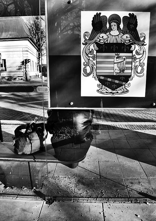 _MG_0959
