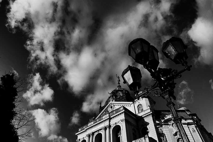 _MG_0904