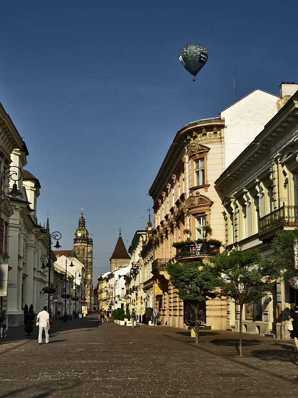 _6102993 - kópia.jpg