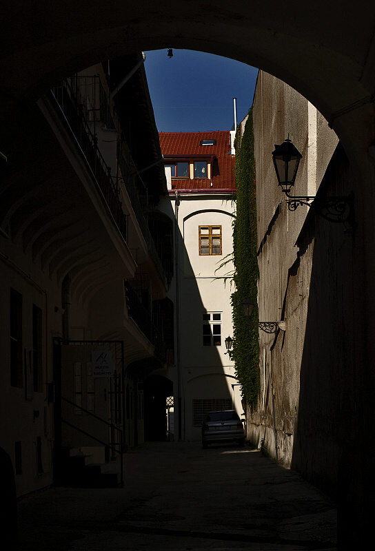 _8104661 - kópia.jpg