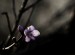 IMG_5548g.jpg