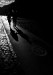 _MG_0774f